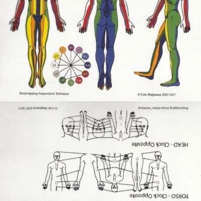 Master Tung Acupuncture Chart